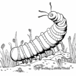 Velvet Worm Coloring Pages for Nature Lovers 2