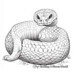 Venomous Viper Snake Coloring Pages 3