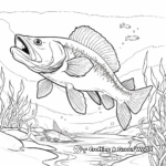 Walleye in Natural Habitat Coloring Pages 2