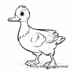 White Duck Coloring Sheets 1