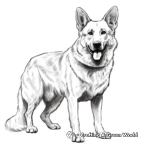 White German Shepherd Coloring Pages 1
