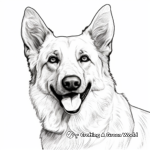 White German Shepherd Coloring Pages 3