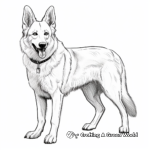 White German Shepherd Coloring Pages 4