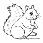 White Squirrel Coloring Sheets 1