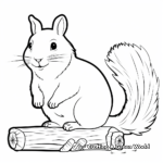 White Squirrel Coloring Sheets 3