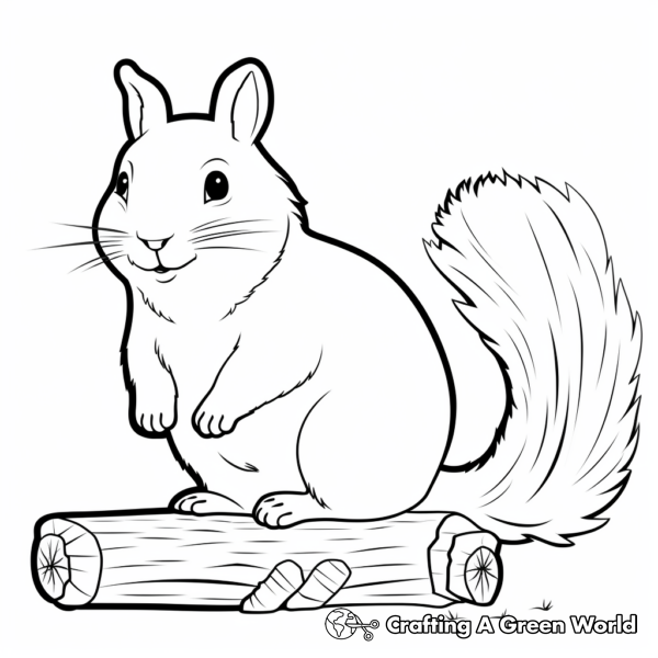 Squirrel Coloring Pages - Free &amp; Printable!