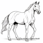 White Stallion Horse Coloring Sheets 1