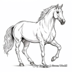 White Stallion Horse Coloring Sheets 4