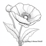 Wild Californian Poppy Coloring Pages 1