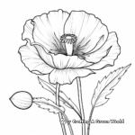 Wild Californian Poppy Coloring Pages 2