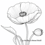 Wild Californian Poppy Coloring Pages 3