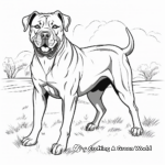 Wild Cane Corso In Nature Coloring Pages 3