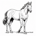 Wild Mustang Horse Coloring Pages 2