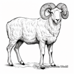 Wild Rocky Mountain Bighorn Sheep Coloring Pages 1