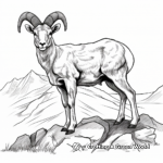 Wild Rocky Mountain Bighorn Sheep Coloring Pages 2