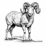 Wild Rocky Mountain Bighorn Sheep Coloring Pages 3
