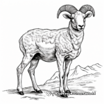 Wild Rocky Mountain Bighorn Sheep Coloring Pages 4