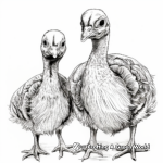 Wild Turkey Chicks Coloring Pages for Kids 1