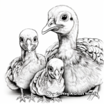 Wild Turkey Chicks Coloring Pages for Kids 2