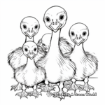 Wild Turkey Chicks Coloring Pages for Kids 3