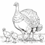 Wild Turkey Coloring Pages: Male, Female and Poults 1