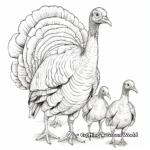 Wild Turkey Coloring Pages: Male, Female and Poults 3