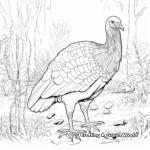 Wild Turkey In Habitat Coloring Pages 1