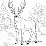 Winter Wildlife: Deer in the Snow Coloring Pages 1