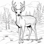 Winter Wildlife: Deer in the Snow Coloring Pages 4