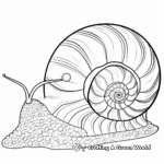 Wondrous Snail Shell Coloring Pages 1