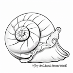 Wondrous Snail Shell Coloring Pages 2