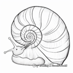 Wondrous Snail Shell Coloring Pages 4