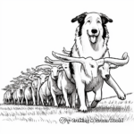 Working Border Collie Herding Sheep Coloring Pages 2