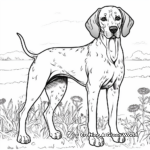 Working German Shorthaired Pointer Coloring Pages 2