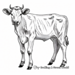 Zebu Cow Coloring Pages Reflecting Bovine Beauty 1