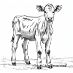 Zebu Cow Coloring Pages Reflecting Bovine Beauty 4