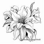 Artistic Abstract Lily Coloring Sheets 2