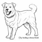 Artistic Akita Coloring Pages for Creativity Boost 4