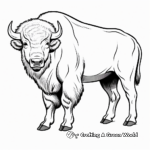 Attractive Wood Bison Coloring Pages 3