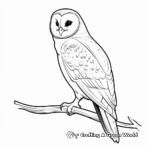 Barn Owl and Full Moon Mystery Coloring Pages 3