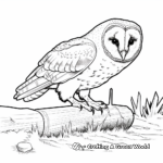 Barn Owl and Mouse Prey Coloring Pages 4