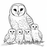 Barn Owl Family Coloring Sheets: Male, Female, and Owlets 2