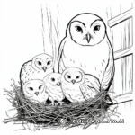 Barn Owl Family Coloring Sheets: Male, Female, and Owlets 3