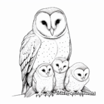 Barn Owl Family Coloring Sheets: Male, Female, and Owlets 4