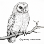 Barred Owl: Realistic and Intricate Coloring Pages 2