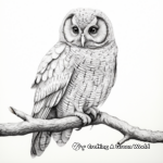 Barred Owl: Realistic and Intricate Coloring Pages 4