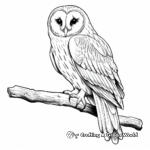 Beautiful Barn Owl Coloring Sheets 1