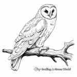 Beautiful Barn Owl Coloring Sheets 2