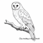Beautiful Barn Owl Coloring Sheets 4