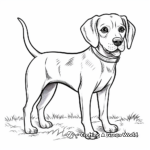 Beautiful Beagle Coloring Pages 1